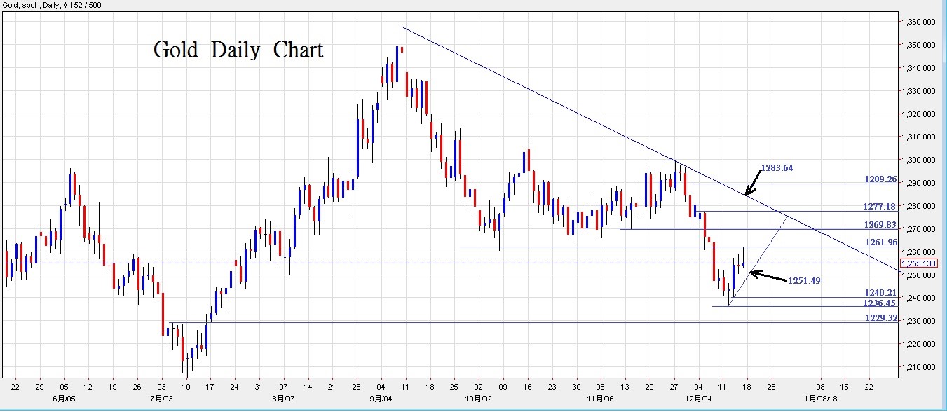 bitcoin-gold-daily-chart